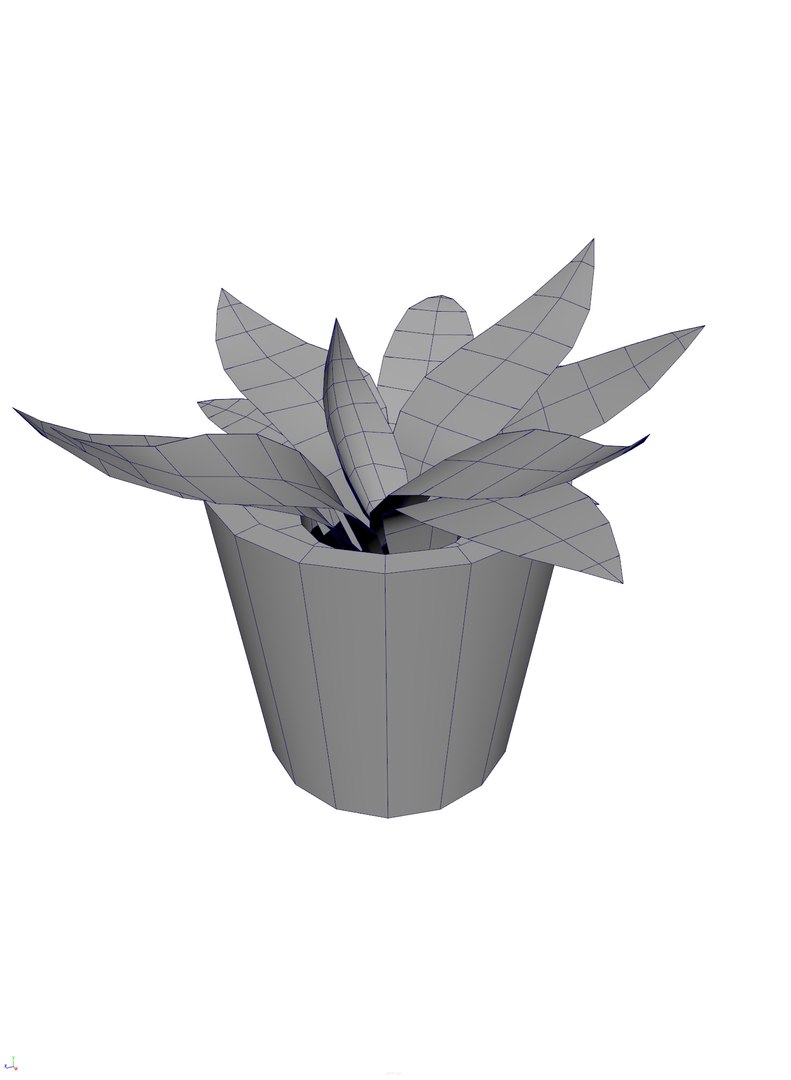 foliage plant pbr 3D model https://p.turbosquid.com/ts-thumb/wN/cYHMv1/RnOlI7pR/plant_01.0004/png/1571213838/1920x1080/fit_q87/05e0ef93c1204fbe0601b4c17882fdca6f6a0c77/plant_01.0004.jpg
