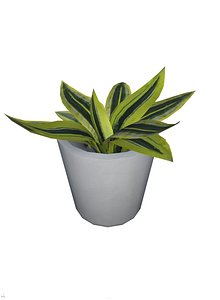 foliage plant pbr 3D model