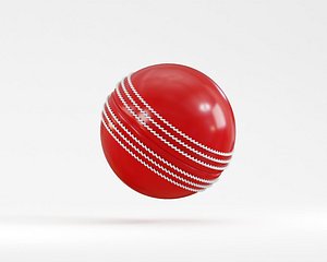 Cricket Ball
