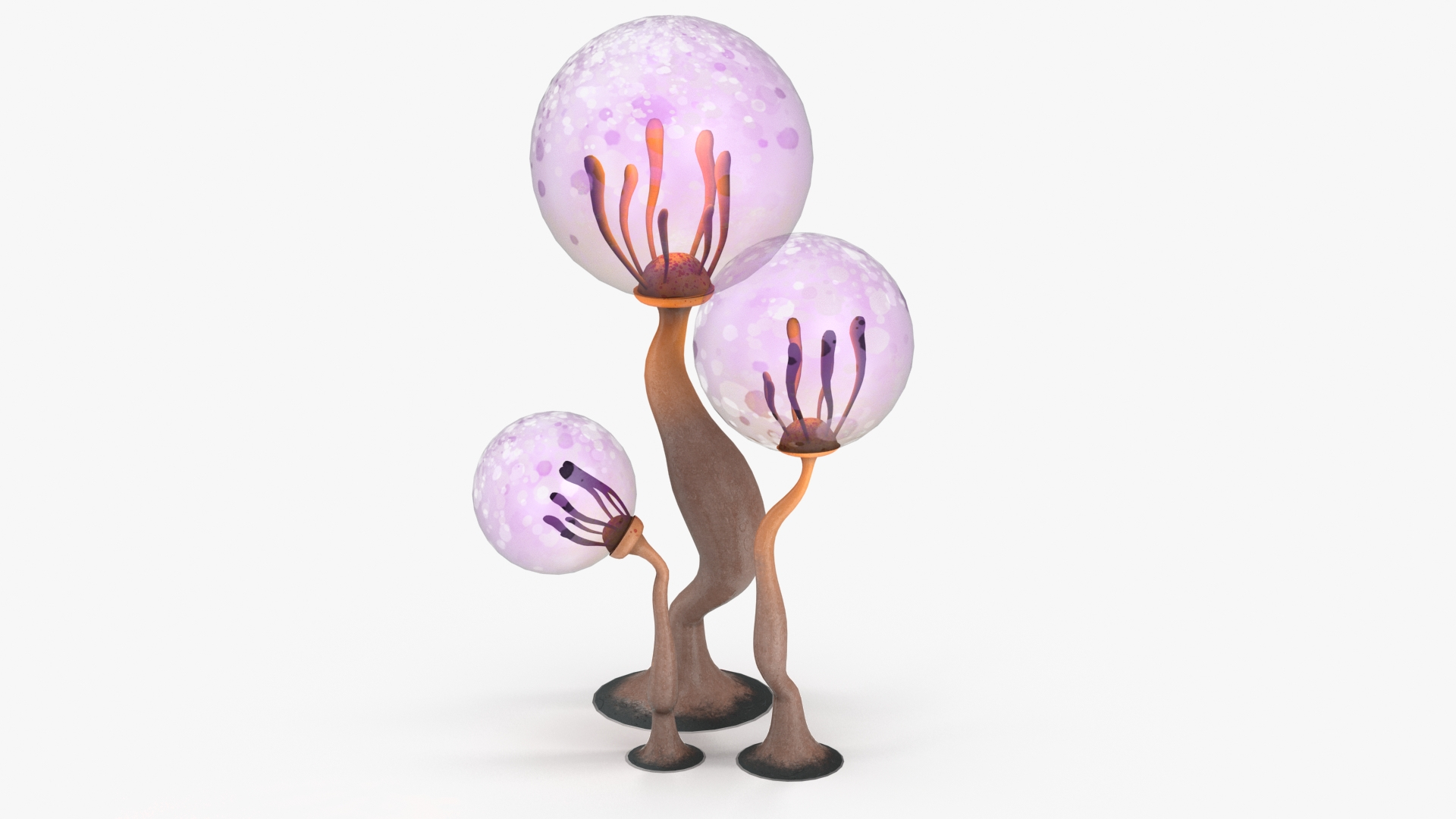 mushrooms cartoon pbr 3D model https://p.turbosquid.com/ts-thumb/wN/zvSM4R/4BBJscGr/mush4360/jpg/1583316778/1920x1080/turn_fit_q99/0b51b3143dac5e7c75618c103522c2c8ad05b8aa/mush4360-1.jpg