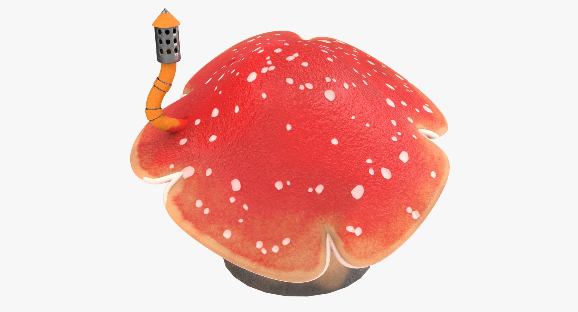 mushrooms cartoon pbr 3D model https://p.turbosquid.com/ts-thumb/wN/zvSM4R/BcTAd15K/m3_5/jpg/1583316903/1920x1080/fit_q87/005205c00b10cc3d19b7fa53d51e5ebbd8eb6cef/m3_5.jpg