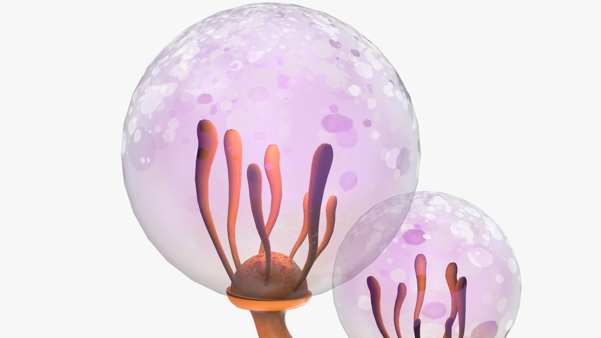 mushrooms cartoon pbr 3D model https://p.turbosquid.com/ts-thumb/wN/zvSM4R/FutJb5kJ/mush4_7/jpg/1583316922/1920x1080/fit_q87/c1cdd29f5eb02594bab3e719d3d8508c4a7a15d4/mush4_7.jpg