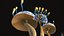 Mushrooms Collection