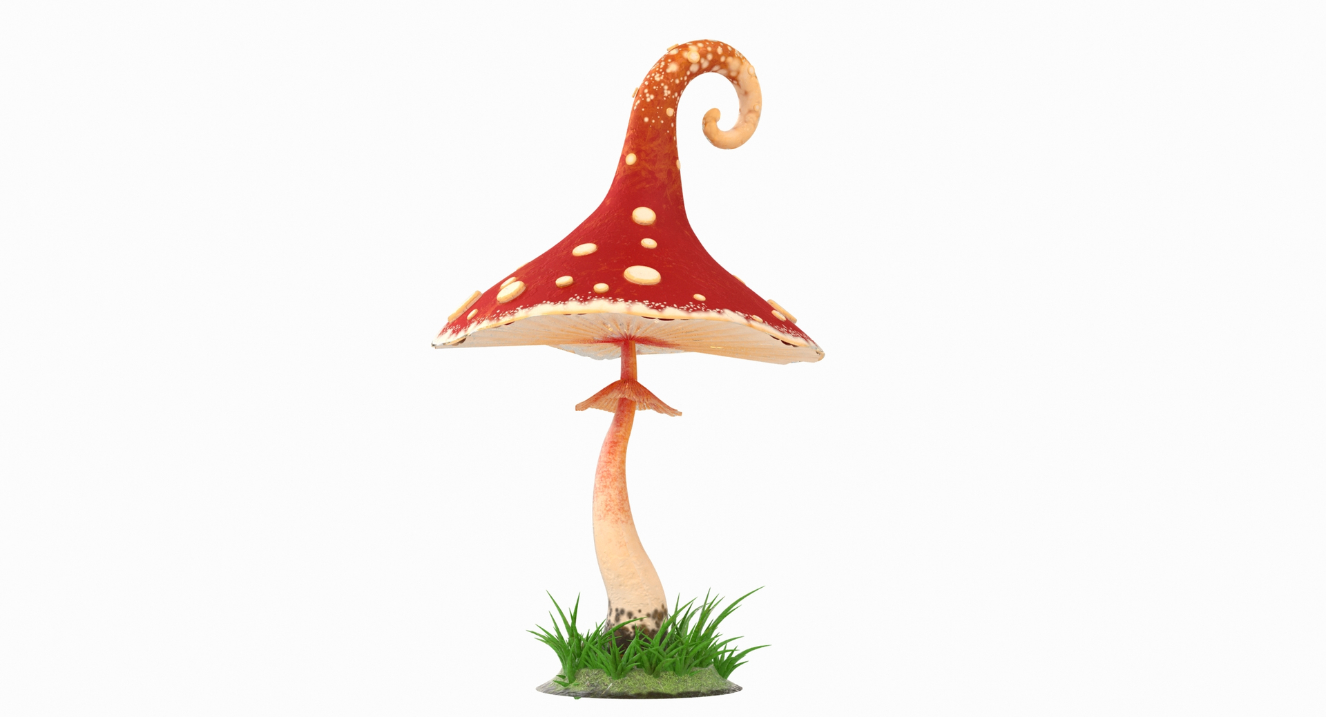 mushrooms cartoon pbr 3D model https://p.turbosquid.com/ts-thumb/wN/zvSM4R/PWUYa9ku/mushroom/jpg/1583316737/1920x1080/turn_fit_q99/9e7dae810488350a5d8fcf48a5fbba8a1ca69474/mushroom-1.jpg