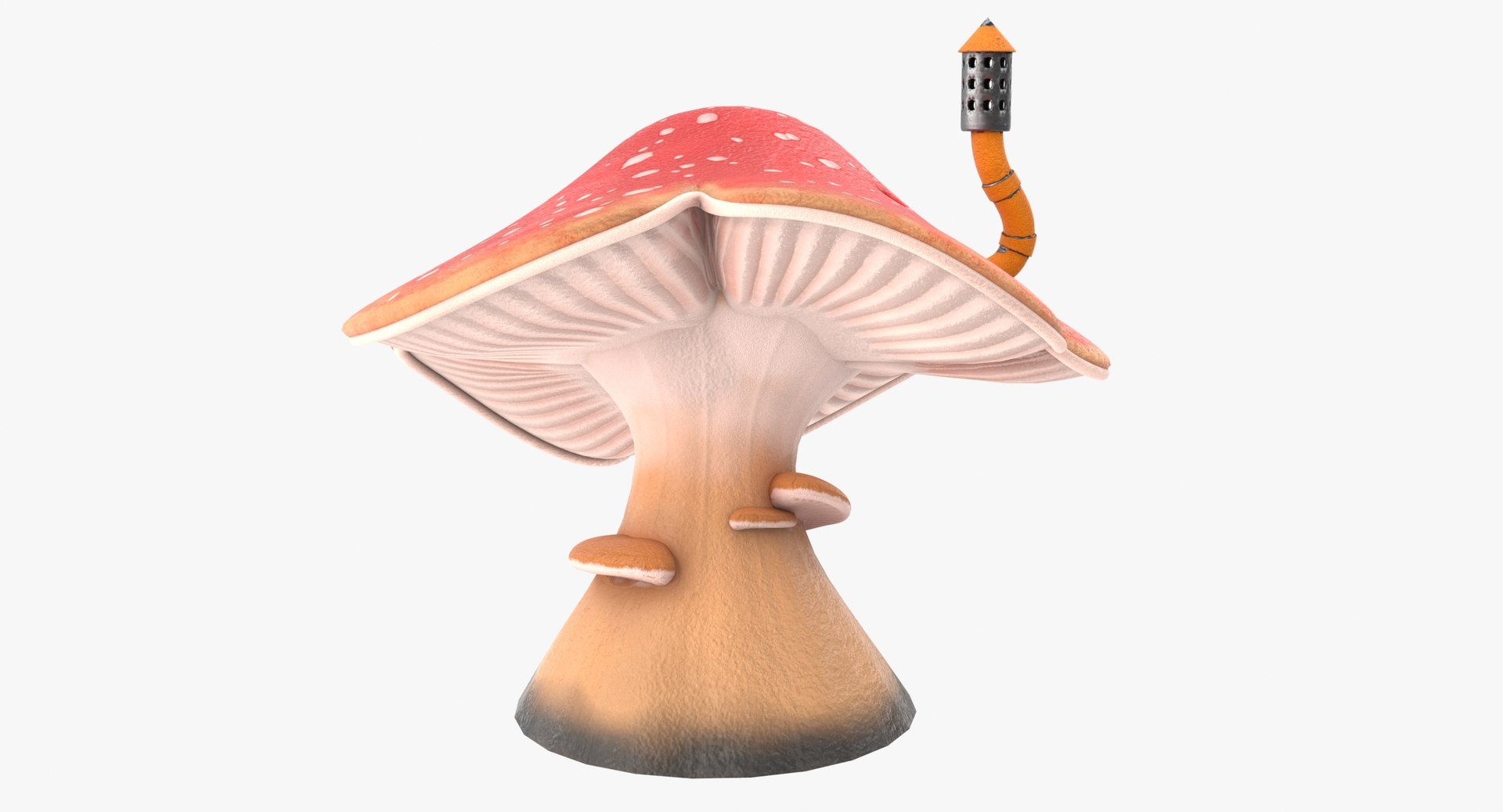 mushrooms cartoon pbr 3D model https://p.turbosquid.com/ts-thumb/wN/zvSM4R/YxbB4W6M/m3_7/jpg/1583316903/1920x1080/fit_q87/e8ce28db08182802d71191e7e16c6fb566dd4cc7/m3_7.jpg