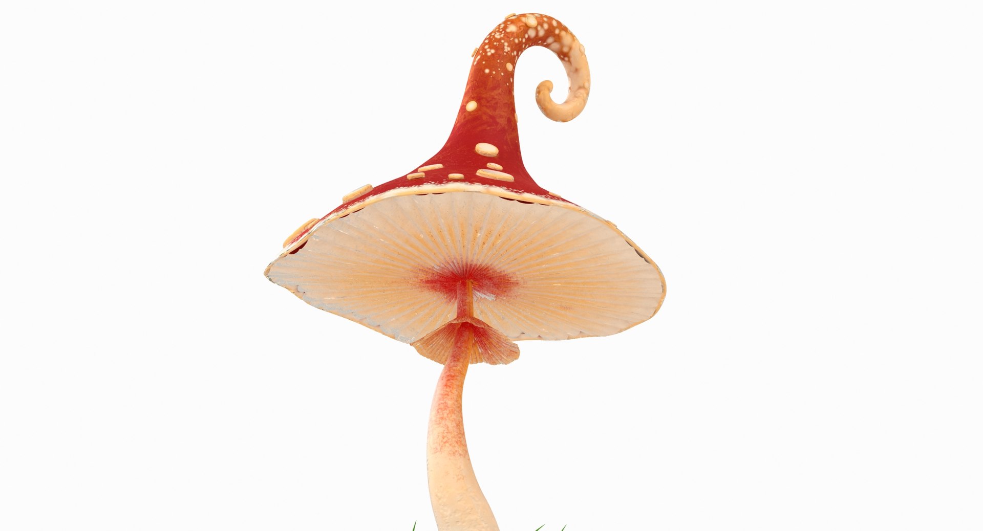 mushrooms cartoon pbr 3D model https://p.turbosquid.com/ts-thumb/wN/zvSM4R/gATiatCI/mushroom8/jpg/1583316858/1920x1080/fit_q87/54e47a5f8e51662ccecfb3d217fc753ae61e1f3f/mushroom8.jpg