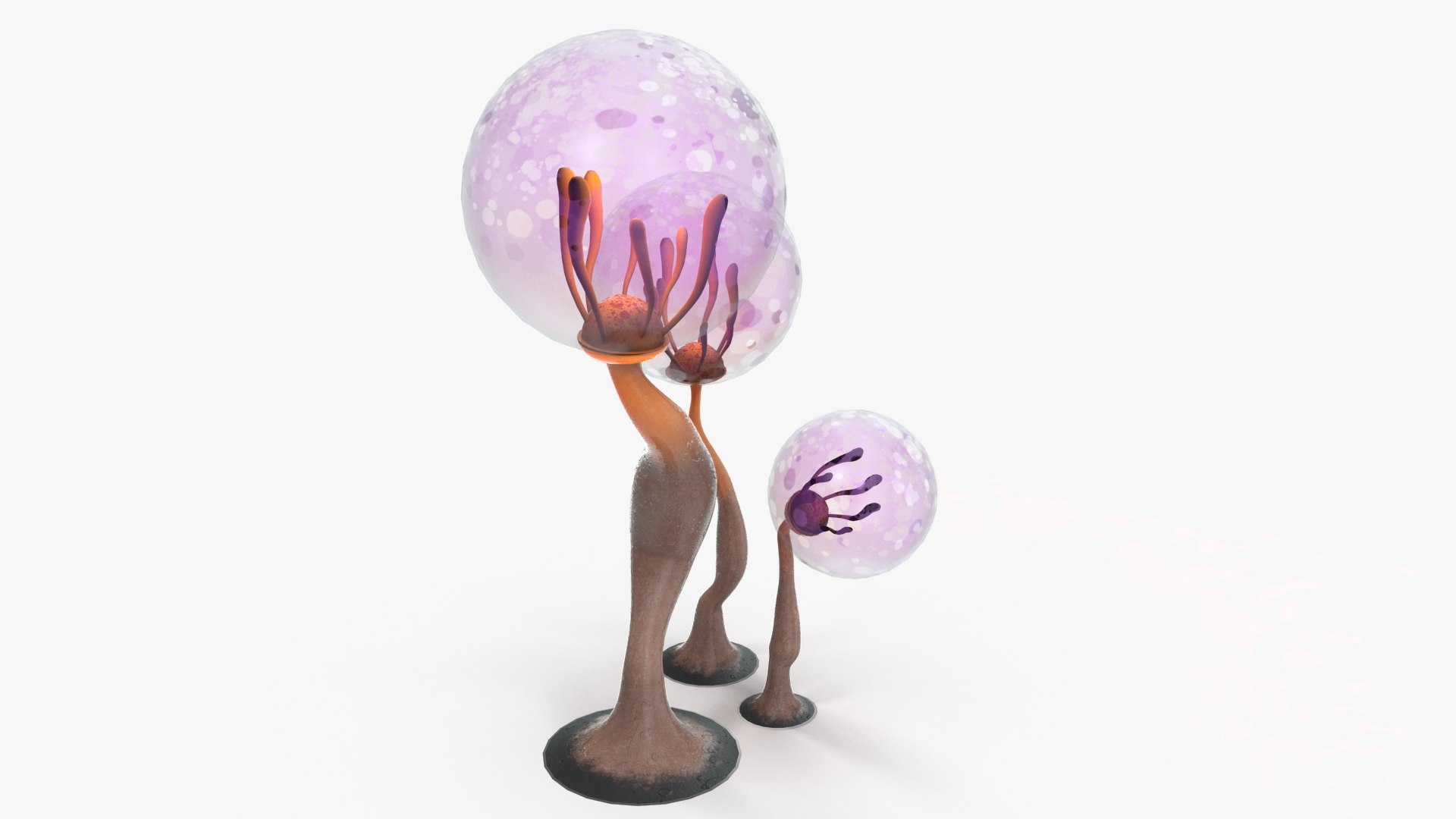 mushrooms cartoon pbr 3D model https://p.turbosquid.com/ts-thumb/wN/zvSM4R/hp3x0Wys/mush4_4/jpg/1583316922/1920x1080/fit_q87/3b90d09564a263e0b636a395d4fda7beeb31cffc/mush4_4.jpg
