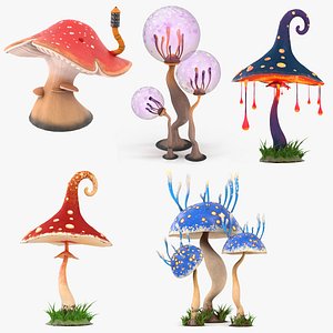 Mushrooms Collection