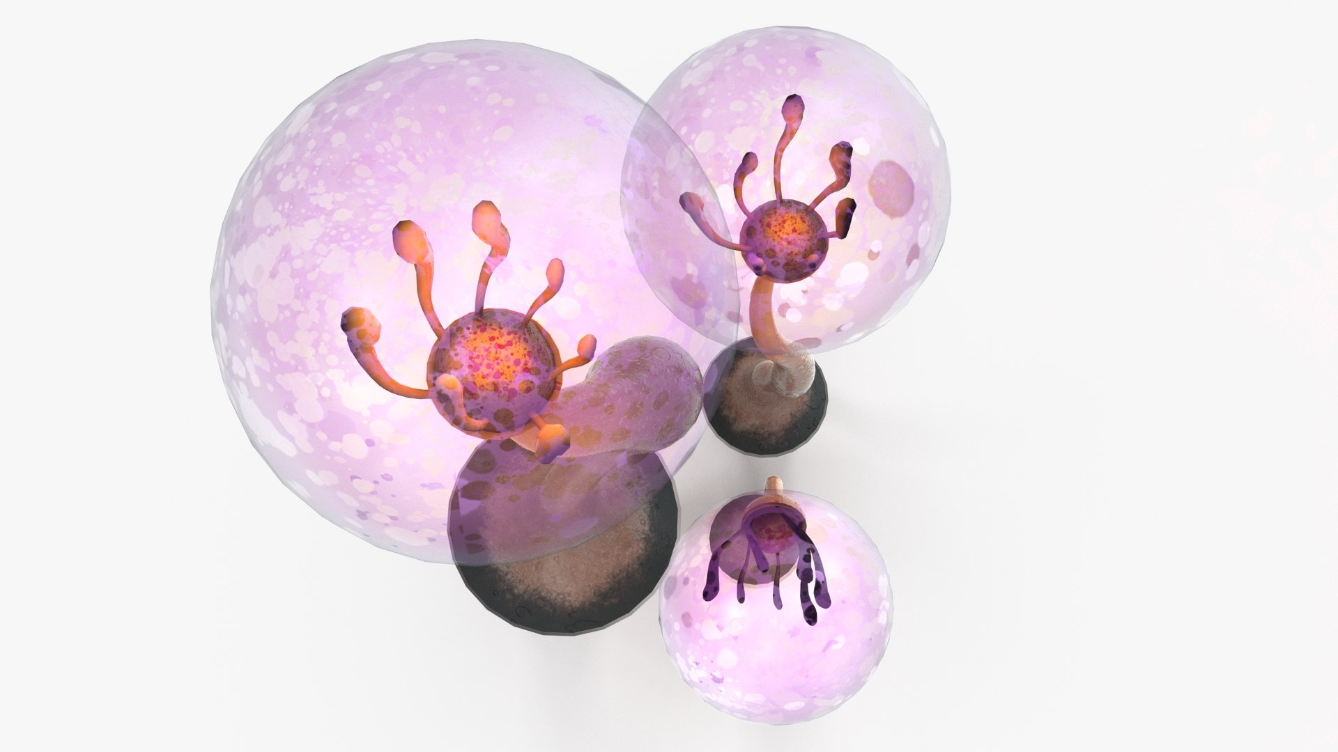 mushrooms cartoon pbr 3D model https://p.turbosquid.com/ts-thumb/wN/zvSM4R/sY2tCFeK/mush4_5/jpg/1583316922/1920x1080/fit_q87/eca3236c91036f3d7265c482c747e8cf16f12428/mush4_5.jpg