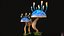 Mushrooms Collection