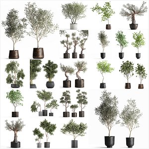 Collection of decorative trees 31 pieces