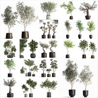 Collection of decorative trees 31 pieces