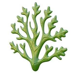 Seaweed 1 3D