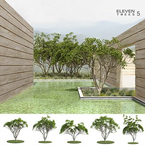 Eleven Trees 5 (+GrowFX)
