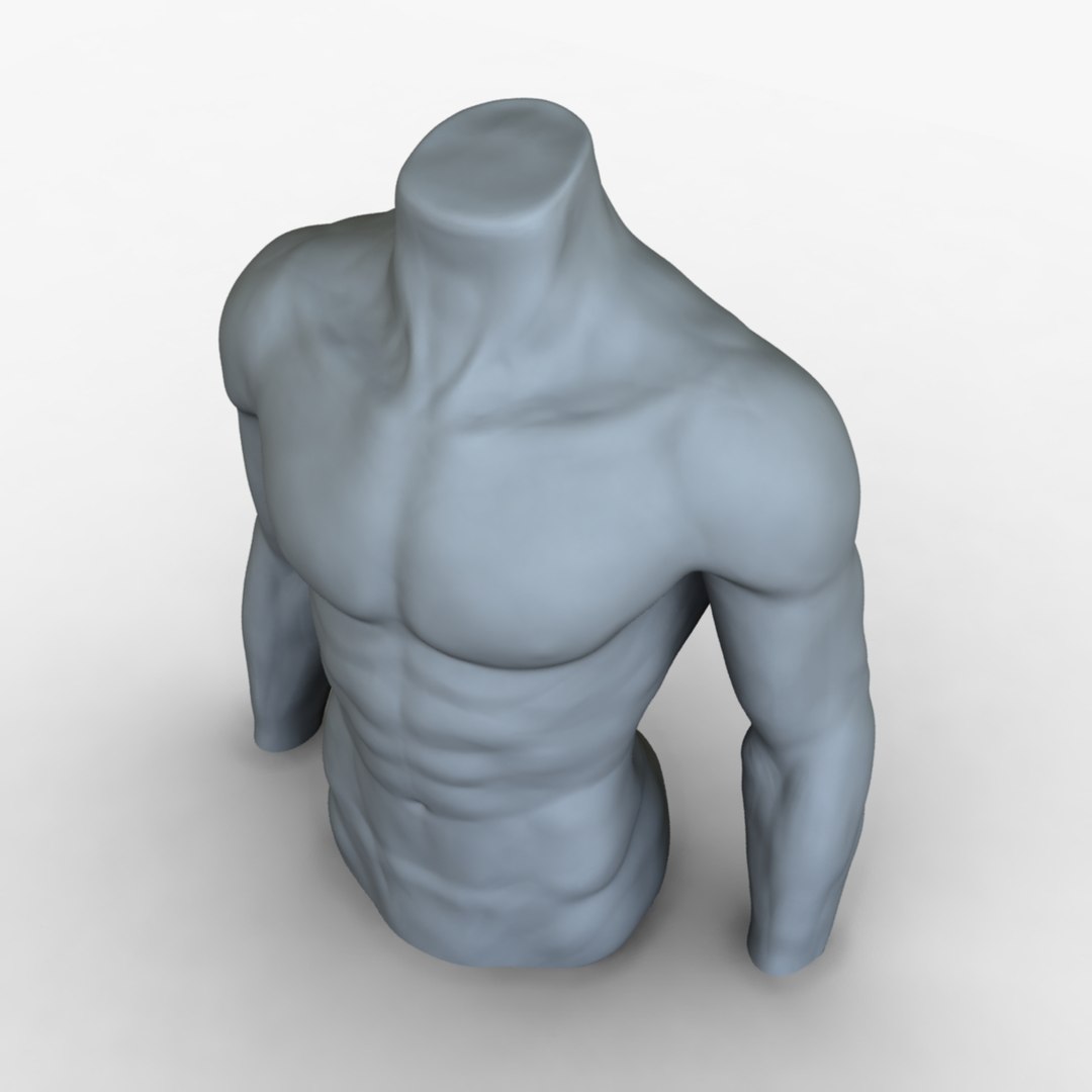 3d model male mannequin