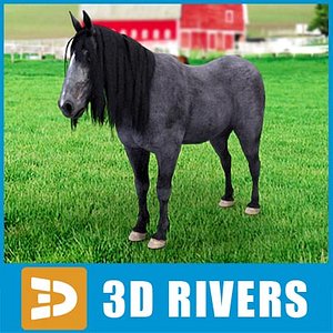 3d model black pony horse