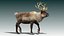 Reindeer(FUR)(ANIMATED)