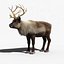 Reindeer(FUR)(ANIMATED)