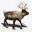 Reindeer(FUR)(ANIMATED)