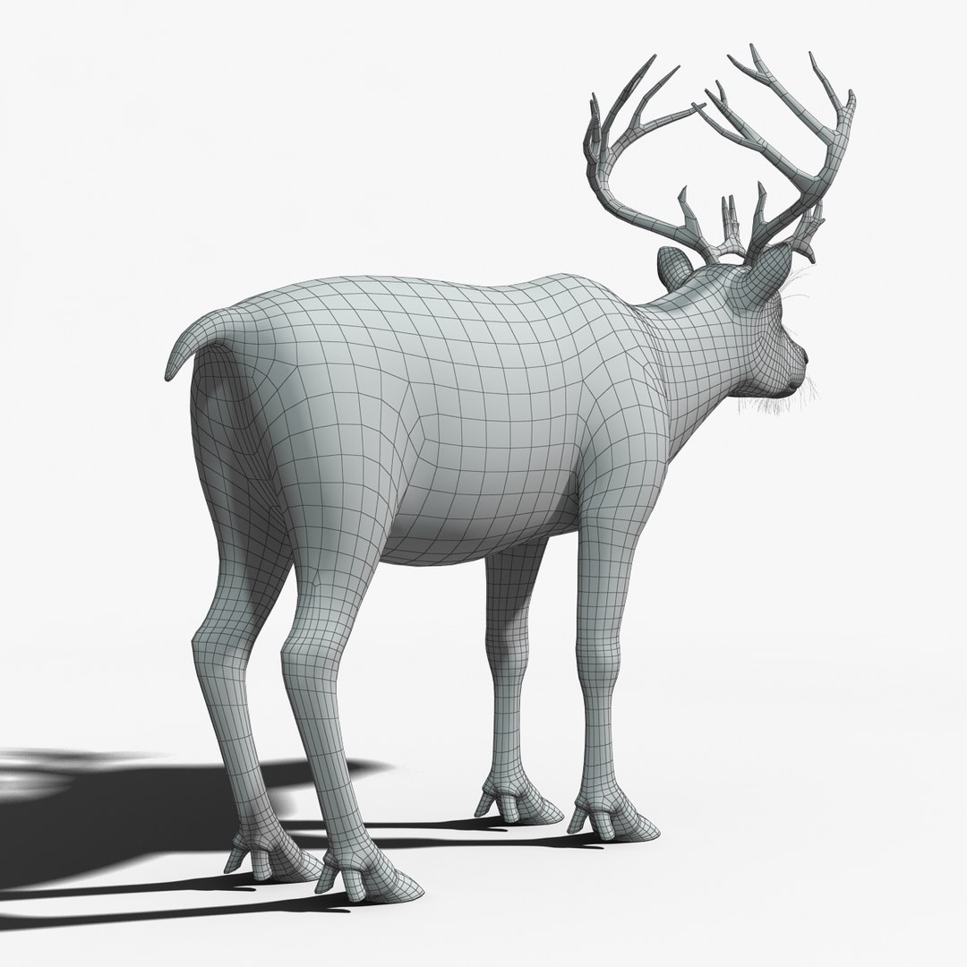 reindeer fur animation max https://p.turbosquid.com/ts-thumb/wO/W35Imp/Fy58l5KB/reindeer_fur_rigged_14/jpg/1438459836/1920x1080/fit_q87/3daa4dda8181085bade082ad2bdb31029ce263b3/reindeer_fur_rigged_14.jpg