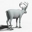 Reindeer(FUR)(ANIMATED)