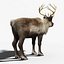 Reindeer(FUR)(ANIMATED)