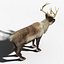 Reindeer(FUR)(ANIMATED)