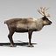 Reindeer(FUR)(ANIMATED)
