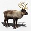 Reindeer(FUR)(ANIMATED)