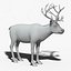 Reindeer(FUR)(ANIMATED)