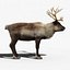 Reindeer(FUR)(ANIMATED)