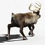 Reindeer(FUR)(ANIMATED)
