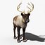 Reindeer(FUR)(ANIMATED)