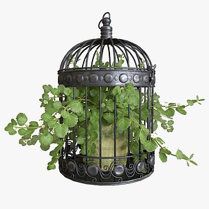 3D ivy bird cage model
