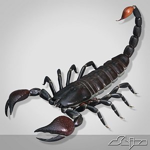scorpion 2 3d max