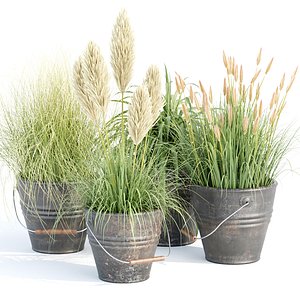 Plants in rusty metal pots collection vol 167 3D