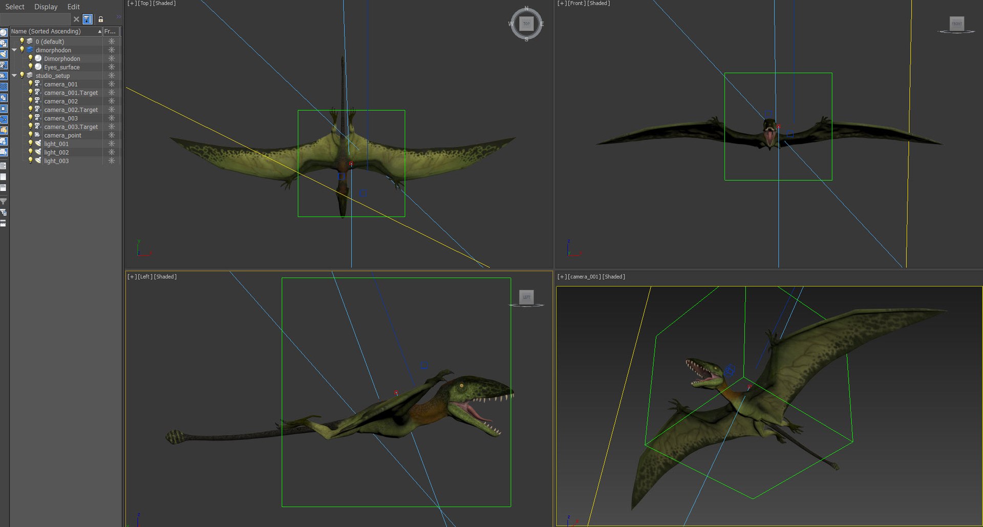 Dimorphodon Model - TurboSquid 1626084