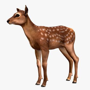 3D model Red Deer Calf
