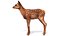 Red Deer Calf