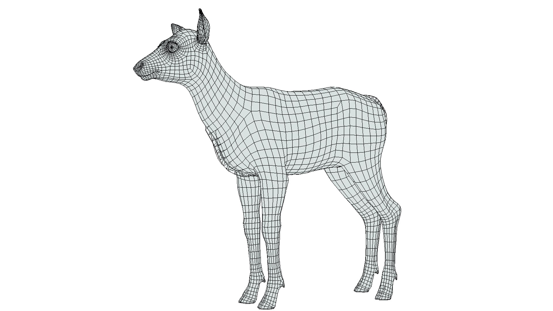3D model Red Deer Calf https://p.turbosquid.com/ts-thumb/wP/2Jx0Yv/i9/wire/png/1667755928/1920x1080/fit_q87/d122aa88043d699a8ff926e8aff0c579b0247287/wire.jpg