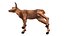 Red Deer Calf