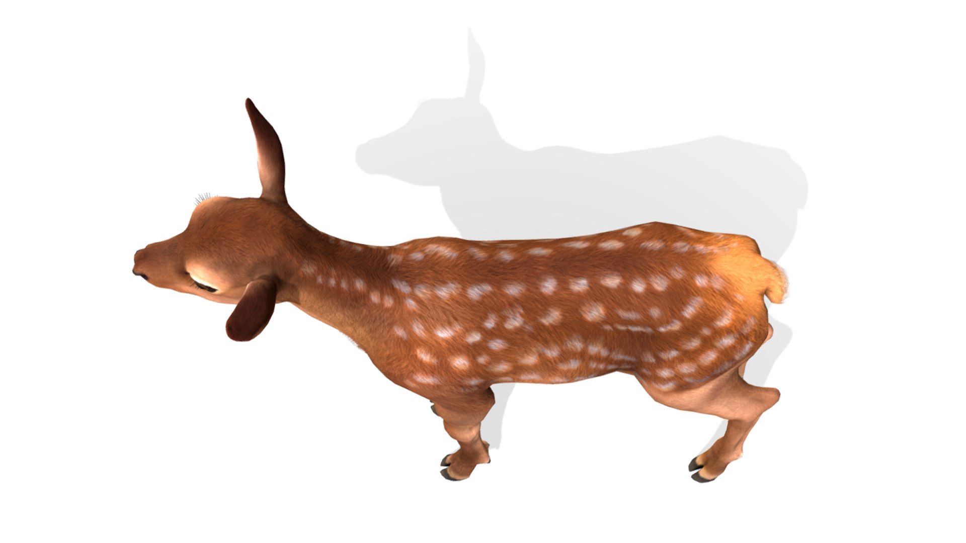 3D model Red Deer Calf https://p.turbosquid.com/ts-thumb/wP/2Jx0Yv/jU/10/png/1667755927/1920x1080/fit_q87/86203b311764e419b892b3ade6c3422f8c8d6506/10.jpg