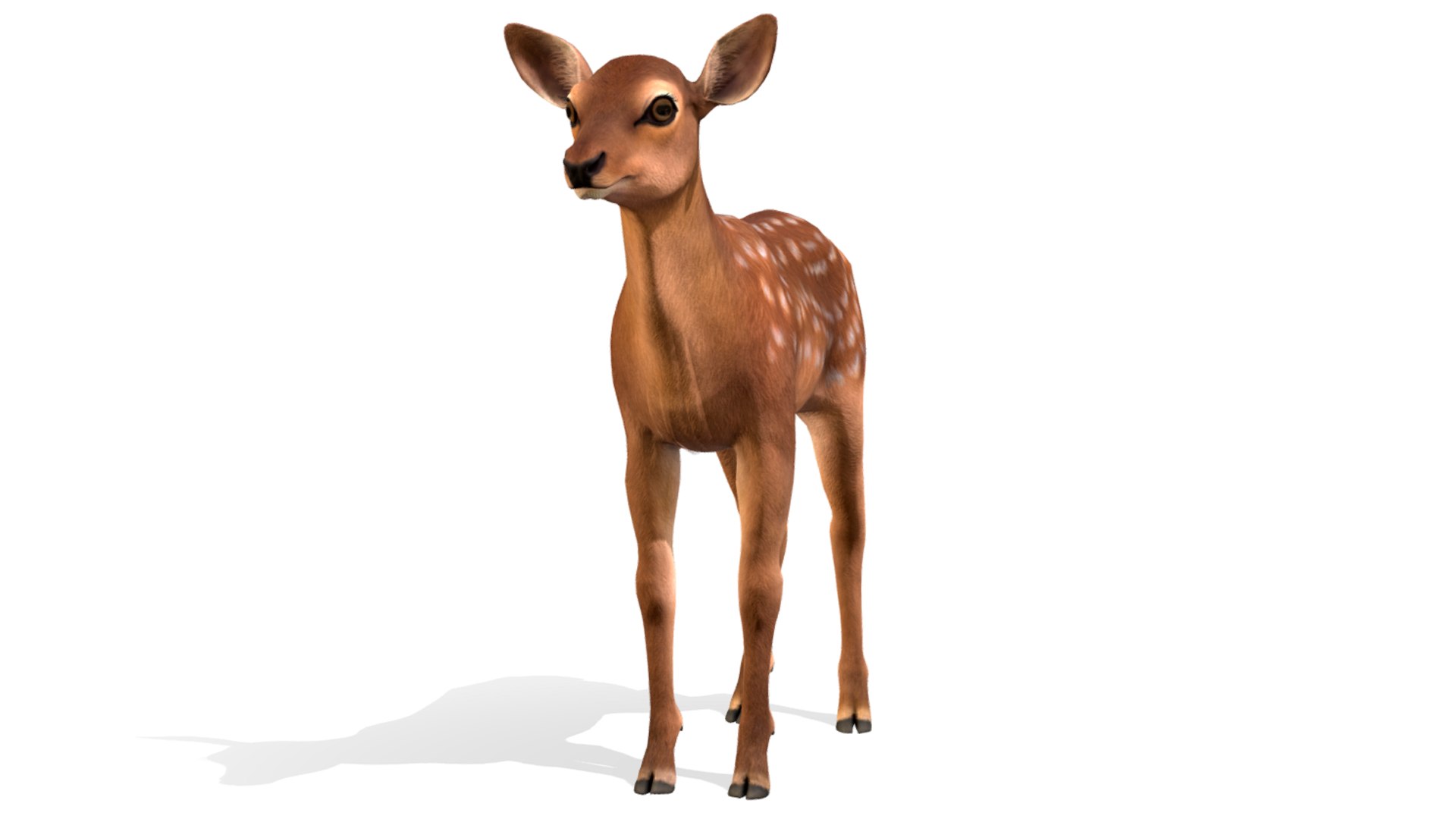 3D model Red Deer Calf https://p.turbosquid.com/ts-thumb/wP/2Jx0Yv/m8/9/png/1667755925/1920x1080/fit_q87/55f57b331e31a035ba5fb5e5ad76b83fd715dd55/9.jpg