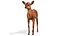 Red Deer Calf