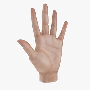 Hand 3D Models for Download | TurboSquid