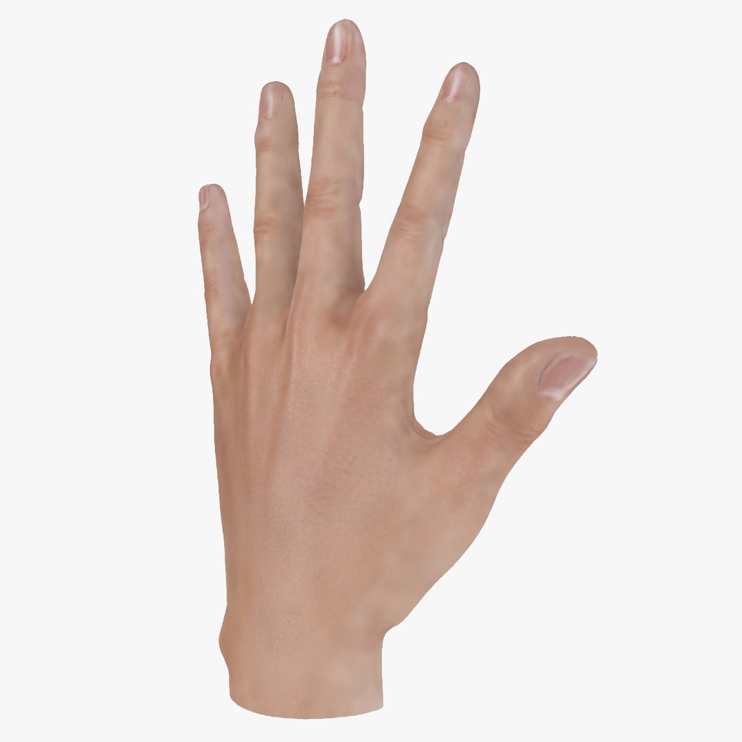 3ds Max Realistic Hand