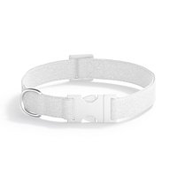 White Dog Collar - nylon pet leash