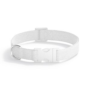 White Dog Collar - nylon pet leash
