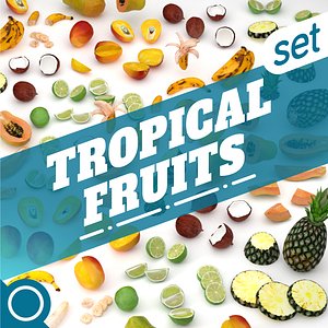 tropical fruits 3D model