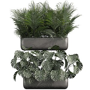 plant vol 978 - monstera - banana - box 3D model